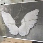 wings5